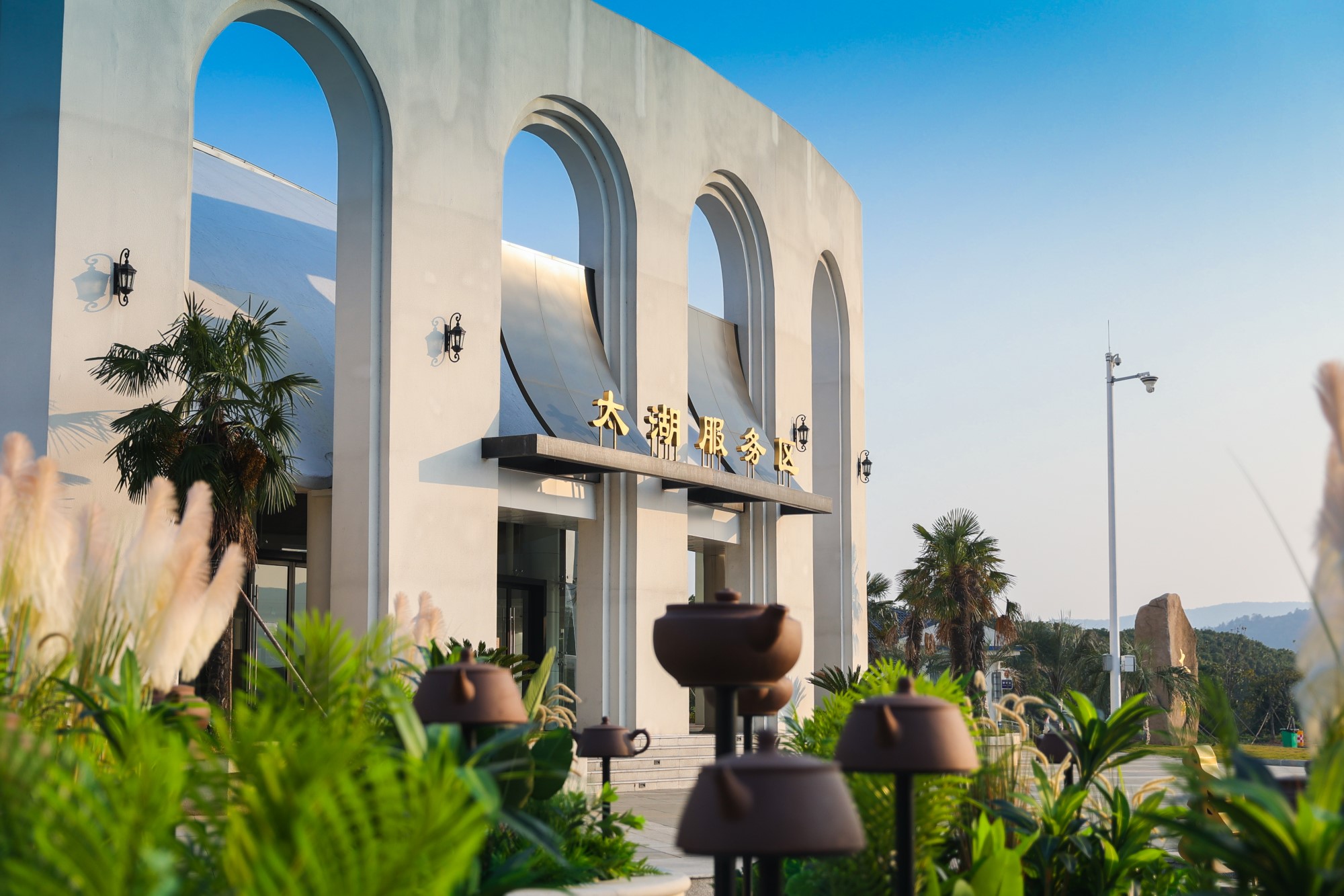 �´��߻���򡰺�ʦ������50������ֲ�